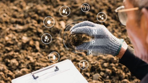 untitled design (39)